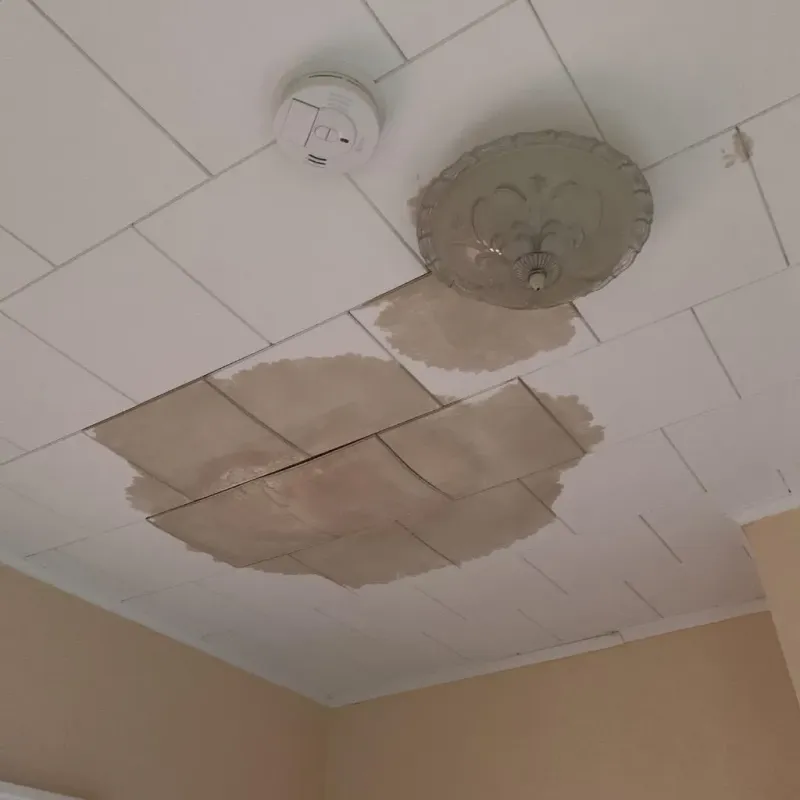 Ceiling Water Damage Repair in Okemah, OK
