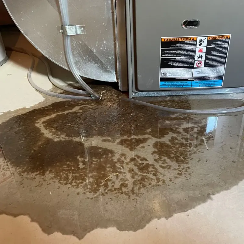 Pipe Burst and Leak Restoration in Okemah, OK